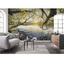 Wohnzimmer mit Fototapete mit Baum und See-Motiv