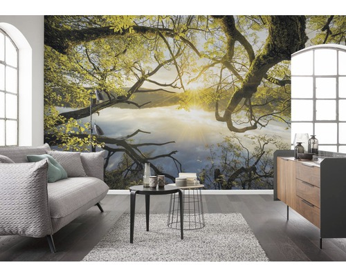 Salon avec papier peint photo avec motif d''arbre et de lac