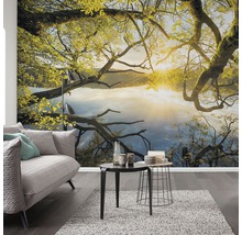 Wohnraum mit Fototapete mit Baum und See Motiv