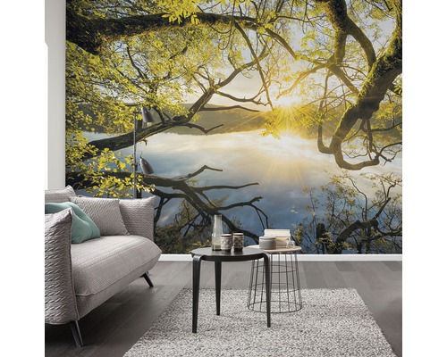 Espace de vie avec papier peint photo avec motif d''arbre et de lac