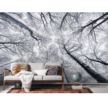 Fototapete Vlies SH081-VD4 Stefan Hefele Ed 1 Up 4-tlg. 400 x 250 cm