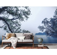 Wohnraum mit Fototapete mit Wald- und Seemotiv, Sofa, Globus und Teppich