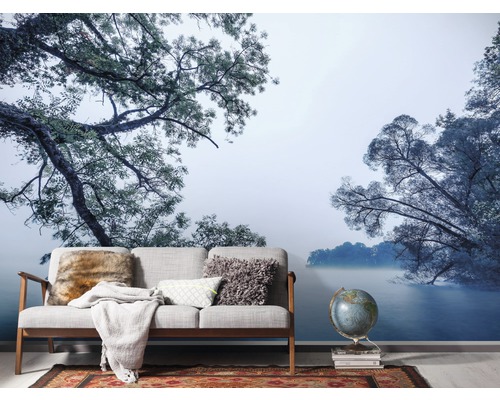 Intérieur avec papier peint photo motif forêt et lac, canapé, globe terrestre et tapis