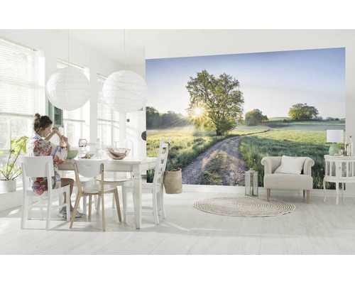 Salle à manger lumineuse avec papier peint photo d''une scène rurale avec un arbre et un chemin de terre