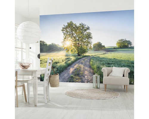 Espace de vie avec papier peint photo d''un paysage avec un arbre et un chemin