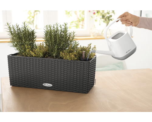 Bewässerung eines Kräutergartens im schwarzen Pflanzgefäß mit Bewässerungssystem und Wasserstandsanzeiger