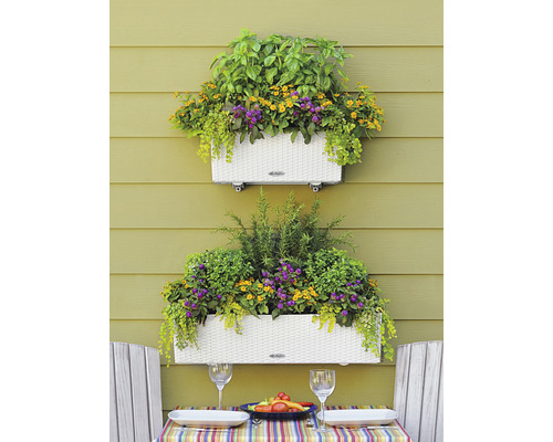 Zwei mit verschiedenen Kräutern und Blumen bepflanzte Blumenkästen an einer Wand über einem Tisch mit Gedeck.