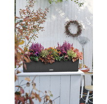 Jardinière Lechuza Balconera Cottage, plastique, 80x19x19 cm, granit