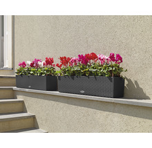 Jardinière Lechuza Balconera Cottage, plastique, 80x19x19 cm, granit