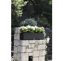 Jardinière Lechuza Balconera Cottage, plastique, 80x19x19 cm, granit