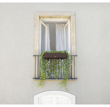 Jardinière Lechuza Balconera Cottage plastique 80x19x19 cm mocca