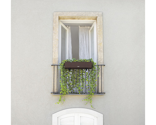Balcon avec jardinière et plantes grimpantes