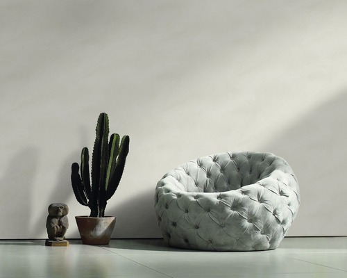 Photo d''intérieur avec fauteuil, cactus et figurine décorative de hibou.