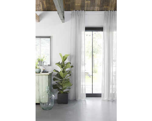 Helle und geräumige Inneneinrichtung mit Zimmerpflanze, Vorhängen und großem Fenster