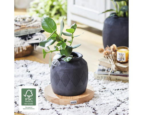 Plante d''intérieur dans un pot à motifs géométriques sur socle en bois