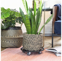 Zimmer mit Pflanzen in geflochtenen Übertöpfen und Pflanzenroller