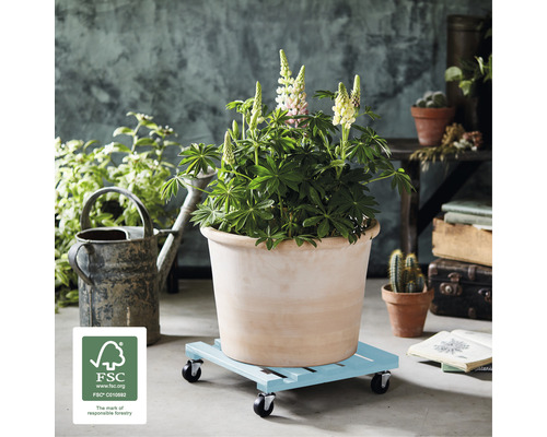 Pot de fleurs avec plante sur roulettes pour plantes avec roulettes et label FSC