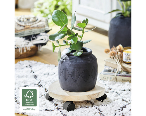 Plante dans un pot sur un support à roulettes avec le label FSC