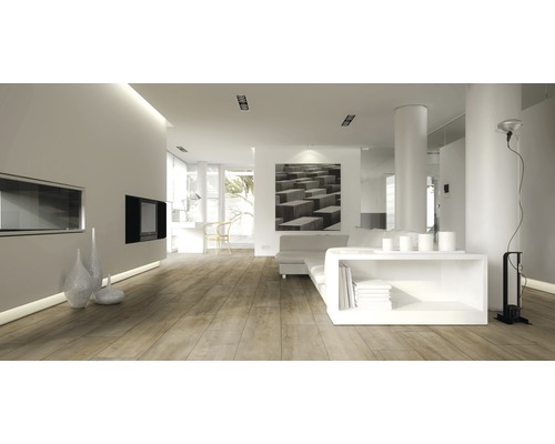 Salon lumineux avec plancher en bois, meubles blancs et décoration moderne