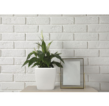 Plante d''intérieur dans un pot blanc à côté d''un cadre photo sur une table devant un mur de briques