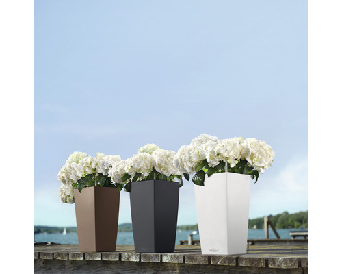 Trois grands bacs à fleurs avec des fleurs sur un pont en bois