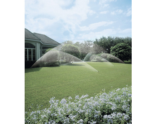 Système d''irrigation pour jardin avec arroseurs de pelouse en fonctionnement