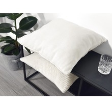 Scène décorative avec coussin rectangulaire et carré sur une console noire à côté d''une plante d''intérieur dans un pot.