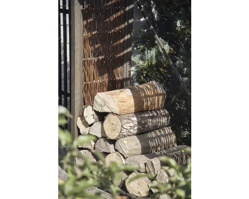 Bois de chauffage empilé à côté d''une clôture en osier.