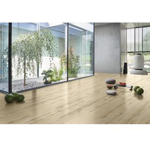 Pièce claire avec sol stratifié, cour avec plantes et décoration minimaliste
