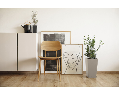 Wohnzimmer mit Holzstuhl, Pflanzen und Dekoration