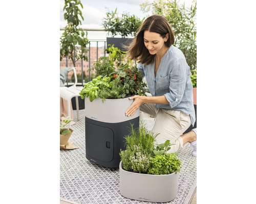 Frau mit Kräutergarten auf dem Balkon mit Pflanzgefäßen und Kräutern