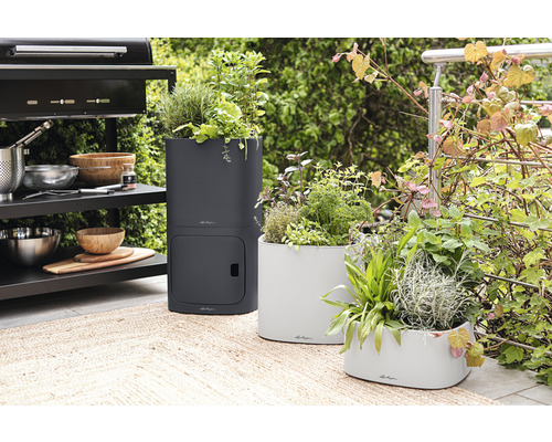 Drei bepflanzte Pflanzgefäße auf einer Terrasse neben einem Grill.