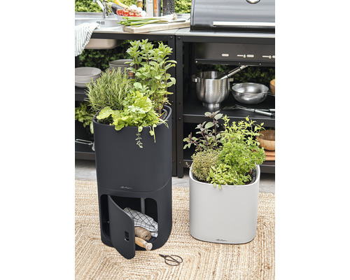 Zwei Pflanzgefäße mit Kräutern auf einem Teppich vor einer Außenküche.