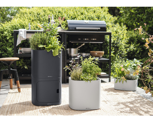 Gartenarrangement mit Kräutern in Pflanzgefäßen auf einer Terrasse