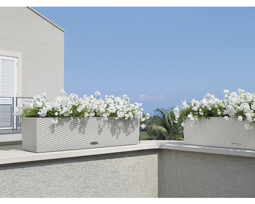 Zwei bepflanzte Blumenkästen im Aussenbereich