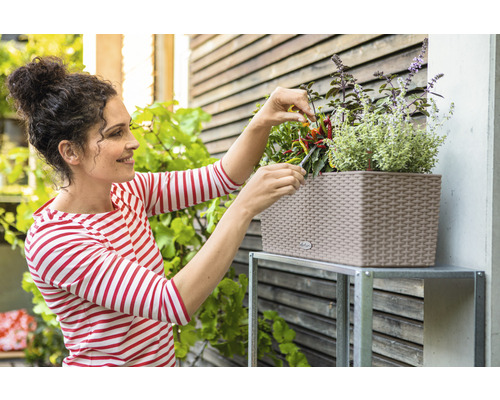 Une femme coupe des herbes aromatiques dans un panier en rotin sur une étagère en métal à l''extérieur.