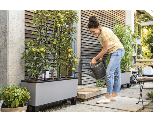 Frau giesst Apfelbäume in einem Pflanzkasten im Garten