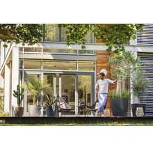 Terrasse mit verschiedenen Pflanzen in Pflanzgefäßen vor einem modernen Haus.