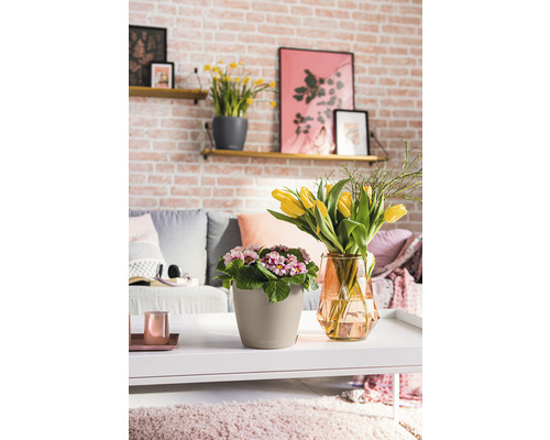 Salon avec décoration de table, comprenant des pots de fleurs et des tulipes dans un vase