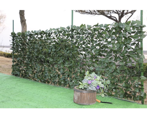 Clôture de jardin avec feuilles vertes et jardinière dans le jardin