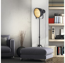 Salon avec canapé, tabouret, lampadaire style projecteur et étagère