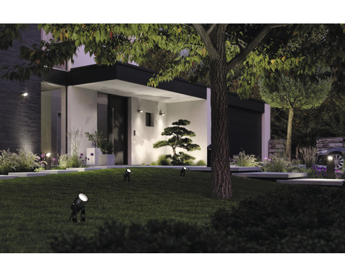 Jardin éclairé avec pelouse, arbres et façade de maison moderne