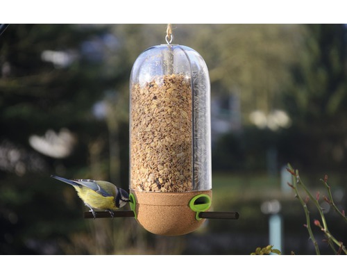 Oiseau mangeant dans une mangeoire à oiseaux remplie