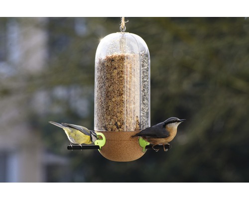 Mangeoire à oiseaux avec deux oiseaux aux postes d''alimentation