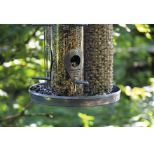 Vogelhaus mit Futtersorten