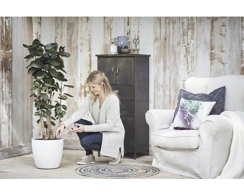 Femme arrosant une plante dans un pot de fleurs blanc dans un intérieur