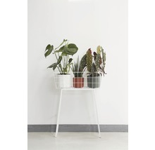 Übertopf elho b. for soft Kunststoff Ø 18 H 17 cm weiß