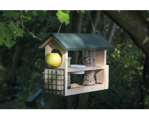 Maison pour oiseaux avec stations d''alimentation et pomme, suspendue à un arbre