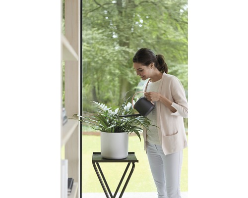 Femme arrose une plante d''intérieur dans un pot blanc avec un arrosoir sur une table d''appoint