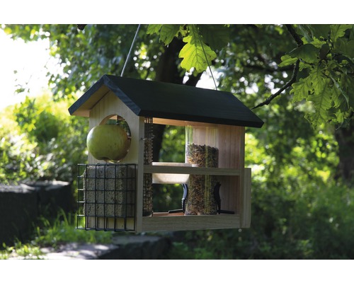 Mangeoire suspendue avec nourriture, boules de graisse et pomme